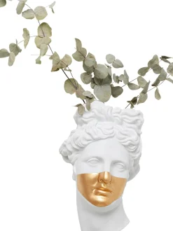 Decorazione Da Parete Fatta A Mano Con Funzione Ciotola Apollo