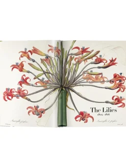 Libro Illustrato Book Of Flowers
