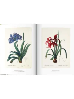 Libro Illustrato Book Of Flowers