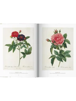 Libro Illustrato Book Of Flowers