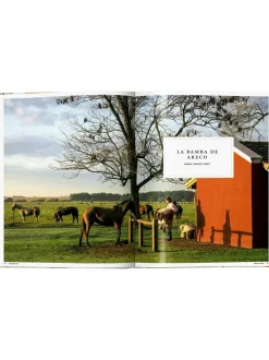 Libro Illustrato Great Escapes Latin America