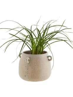 Portavaso Xs In Gres Effetto Vintage Rings