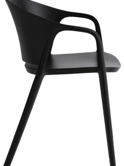 Sedia Con Braccioli In Plastica Monti 2 Pz