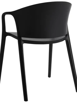 Sedia Con Braccioli In Plastica Monti 2 Pz