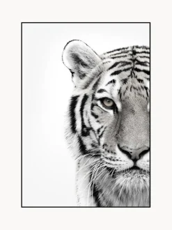 Stampa Digitale Incorniciata White Tiger