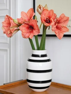 Vaso Grande In Ceramica Fatto A Mano Omaggio