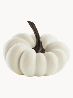 Zucca Decorativa Pepo