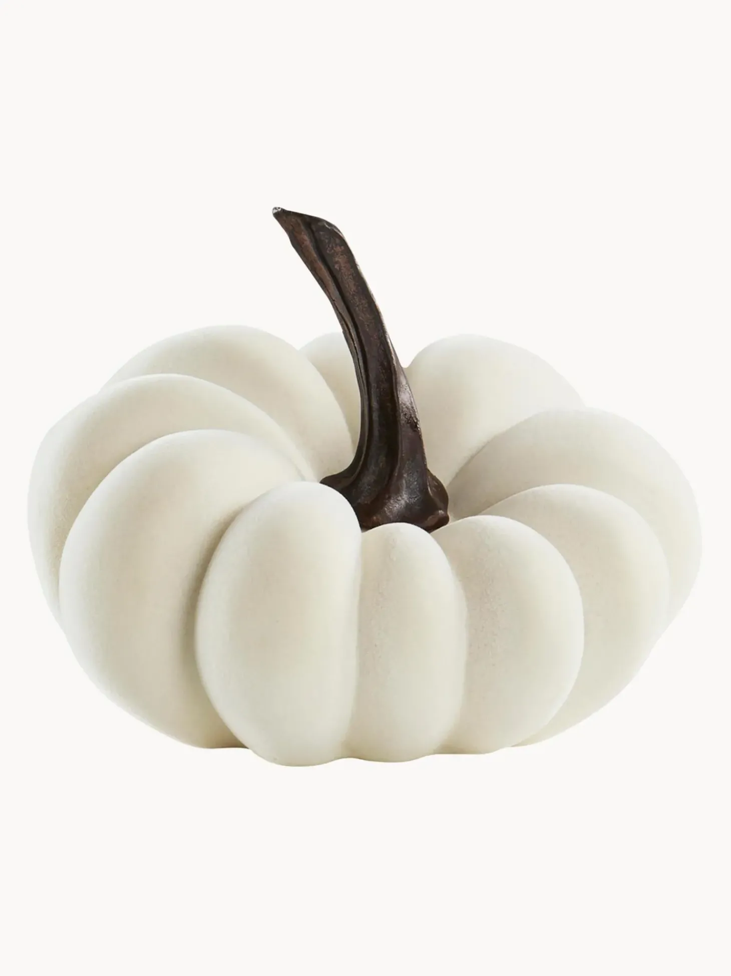 Zucca Decorativa Pepo