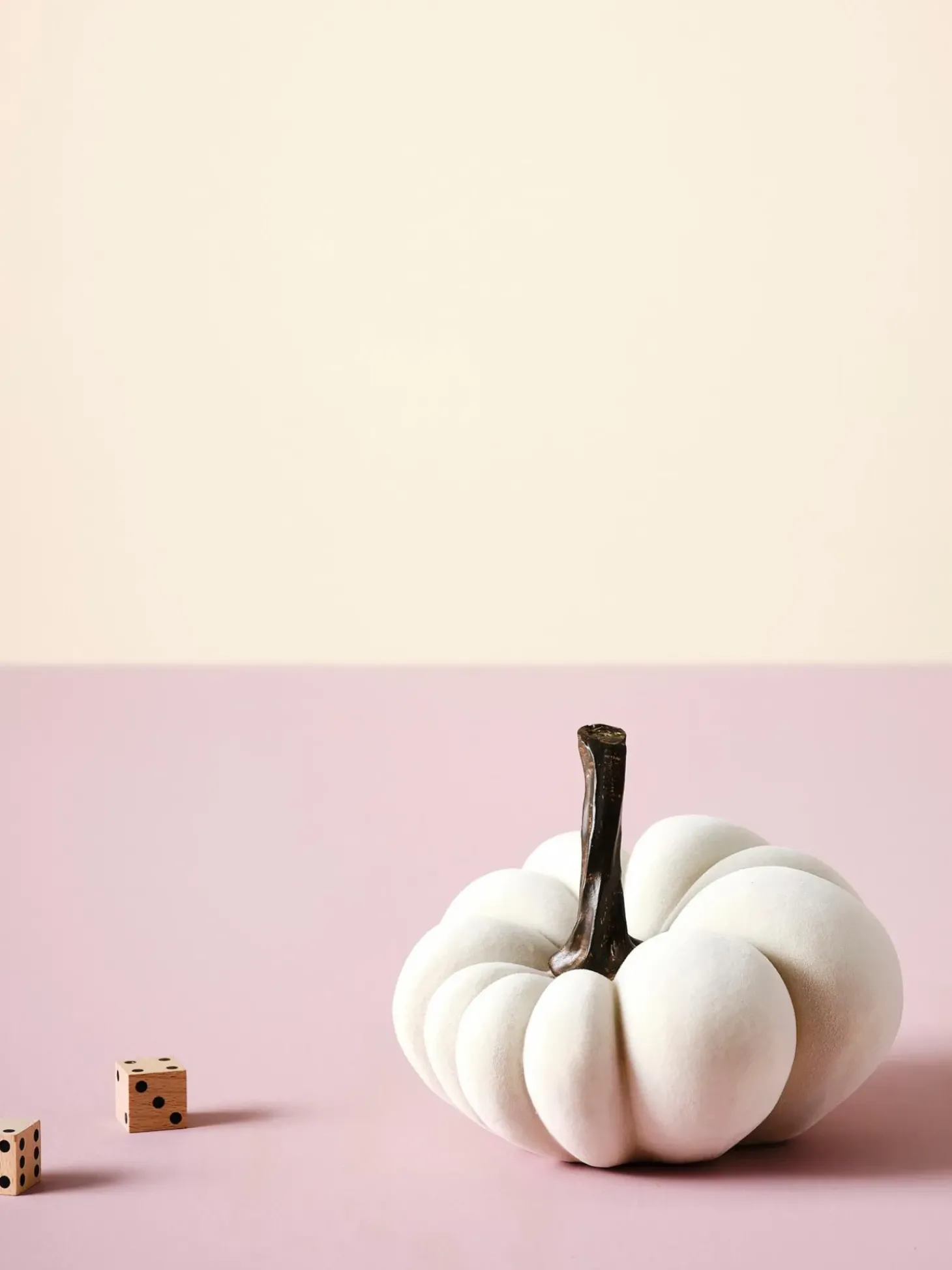 Zucca Decorativa Pepo