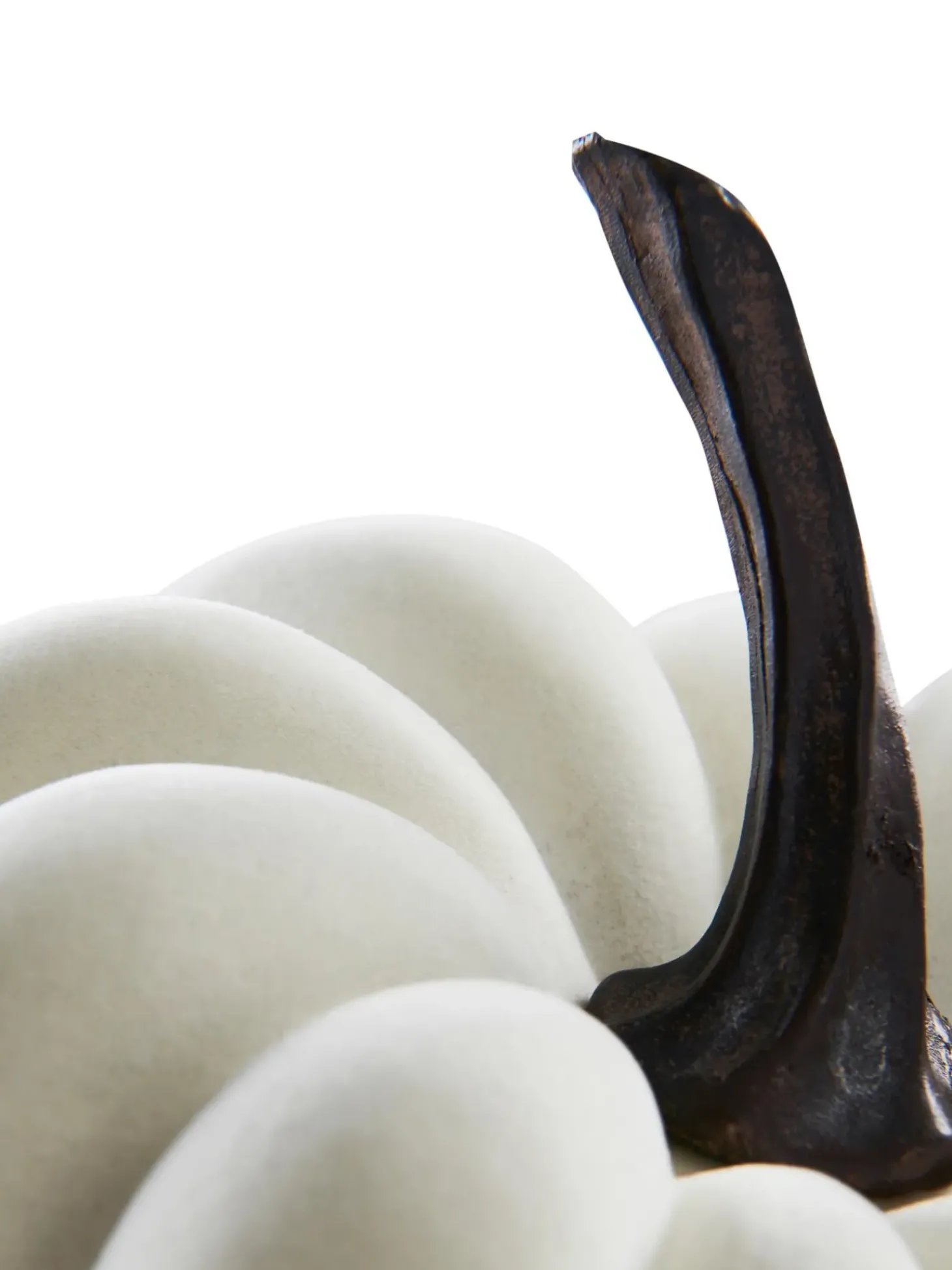 Zucca Decorativa Pepo