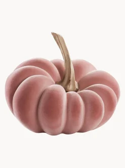 Zucca Decorativa Pepo