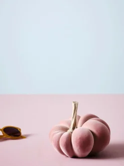 Zucca Decorativa Pepo