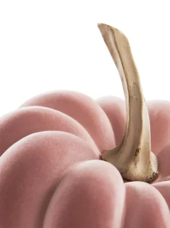 Zucca Decorativa Pepo